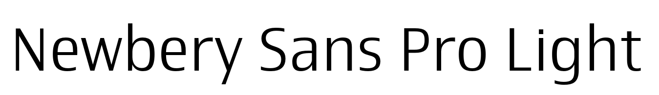 Newbery Sans Pro Light